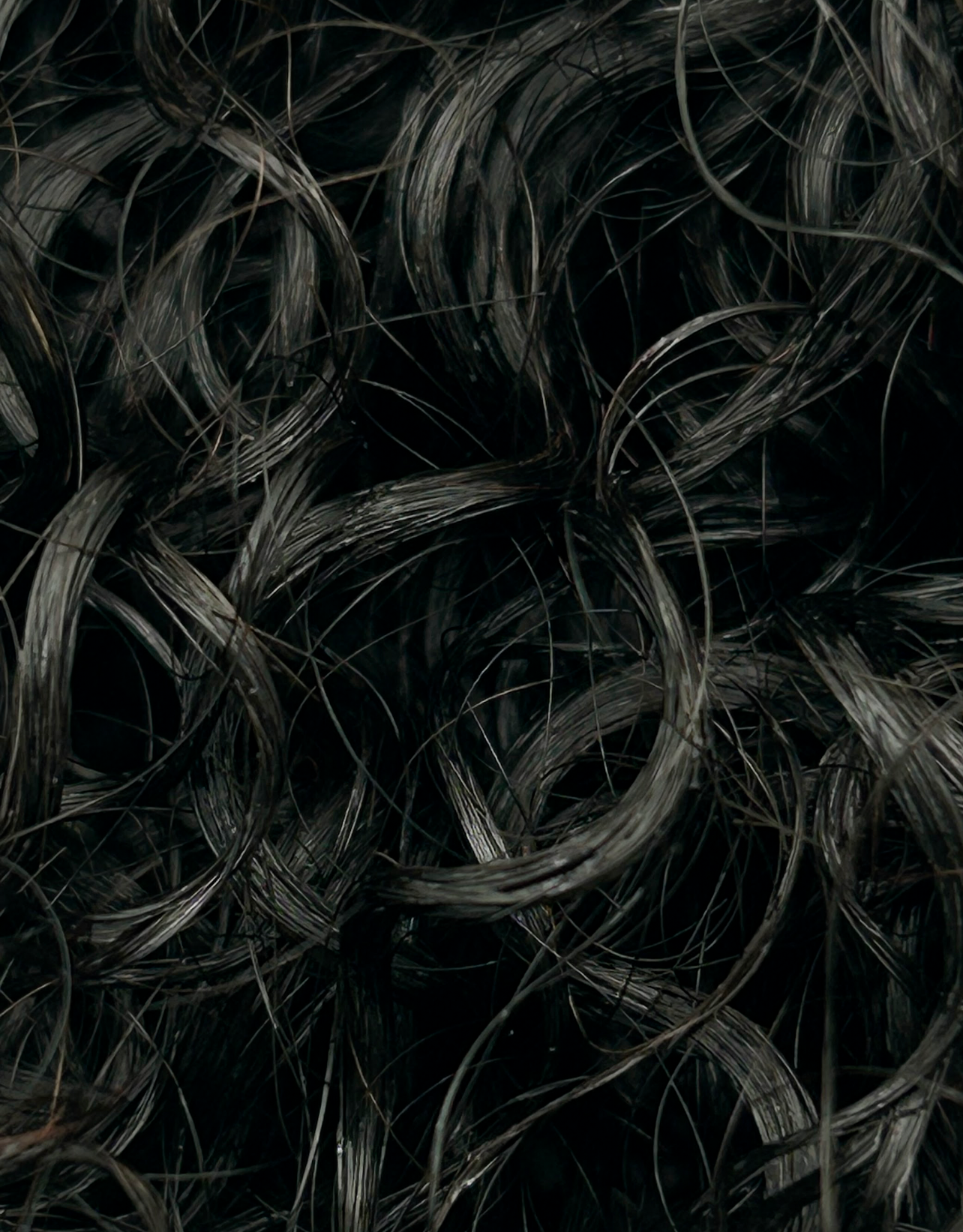 3B Curly Bloom Extensions | Medium Spiral Curly Hair Bundles