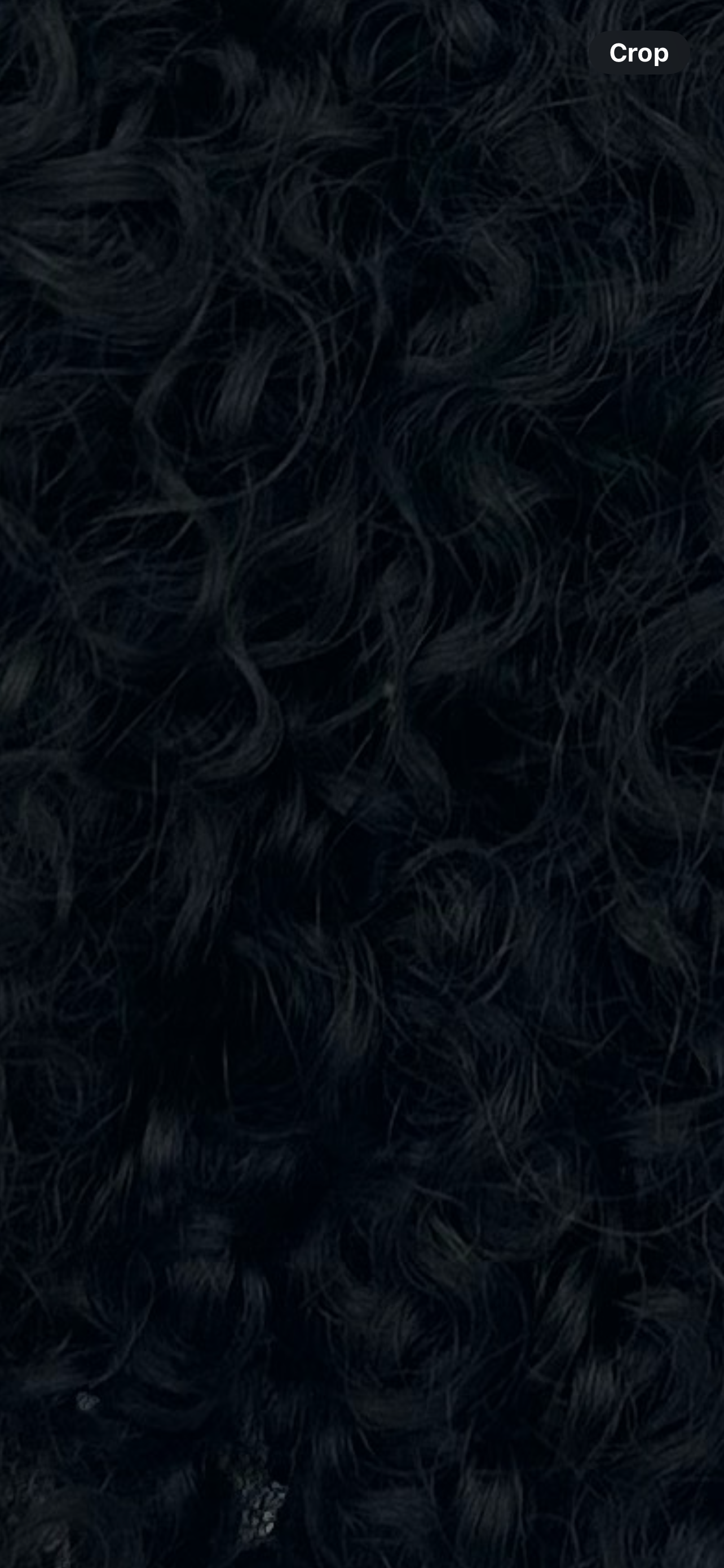 3C - 4A Defined Corkscrews Extensions | Tight Corkscrew Curls